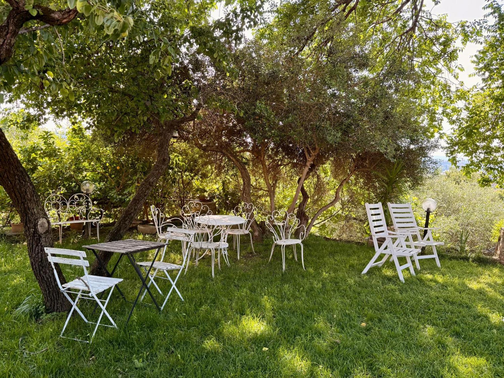 ורונה Green Leaves מראה חיצוני תמונה